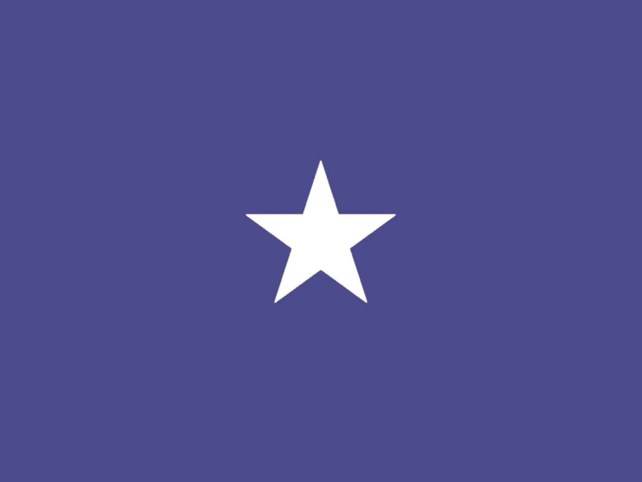 Air Force Brigadier General Flag, 1 Star Nylon Applique with Pole Hem, Size 4'4" x 5'6", GAF1104053