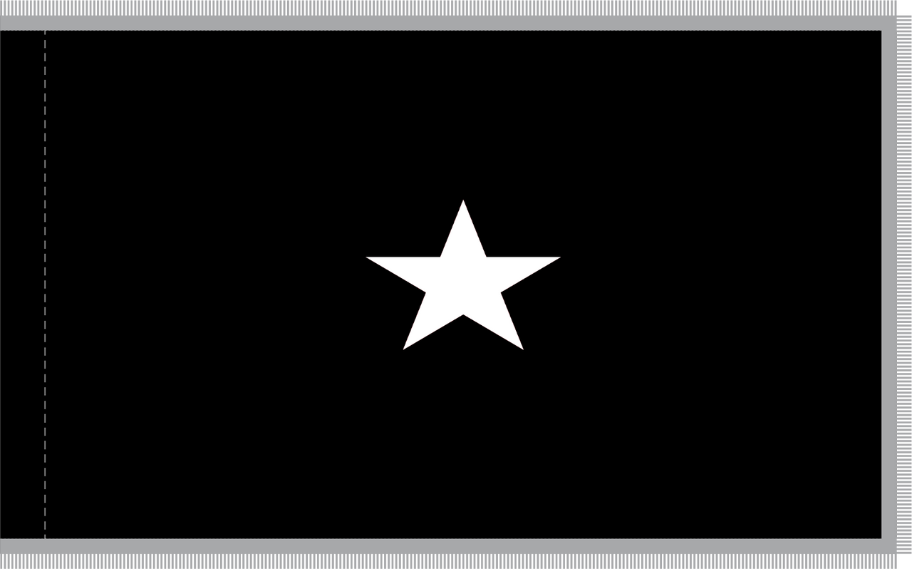Space Force Brigadier General Flag, 1 Star Nylon Applique with Pole Hem and Platinum Fringe, Size 4'4" x 5'6", GSF1104054 (Open Market)