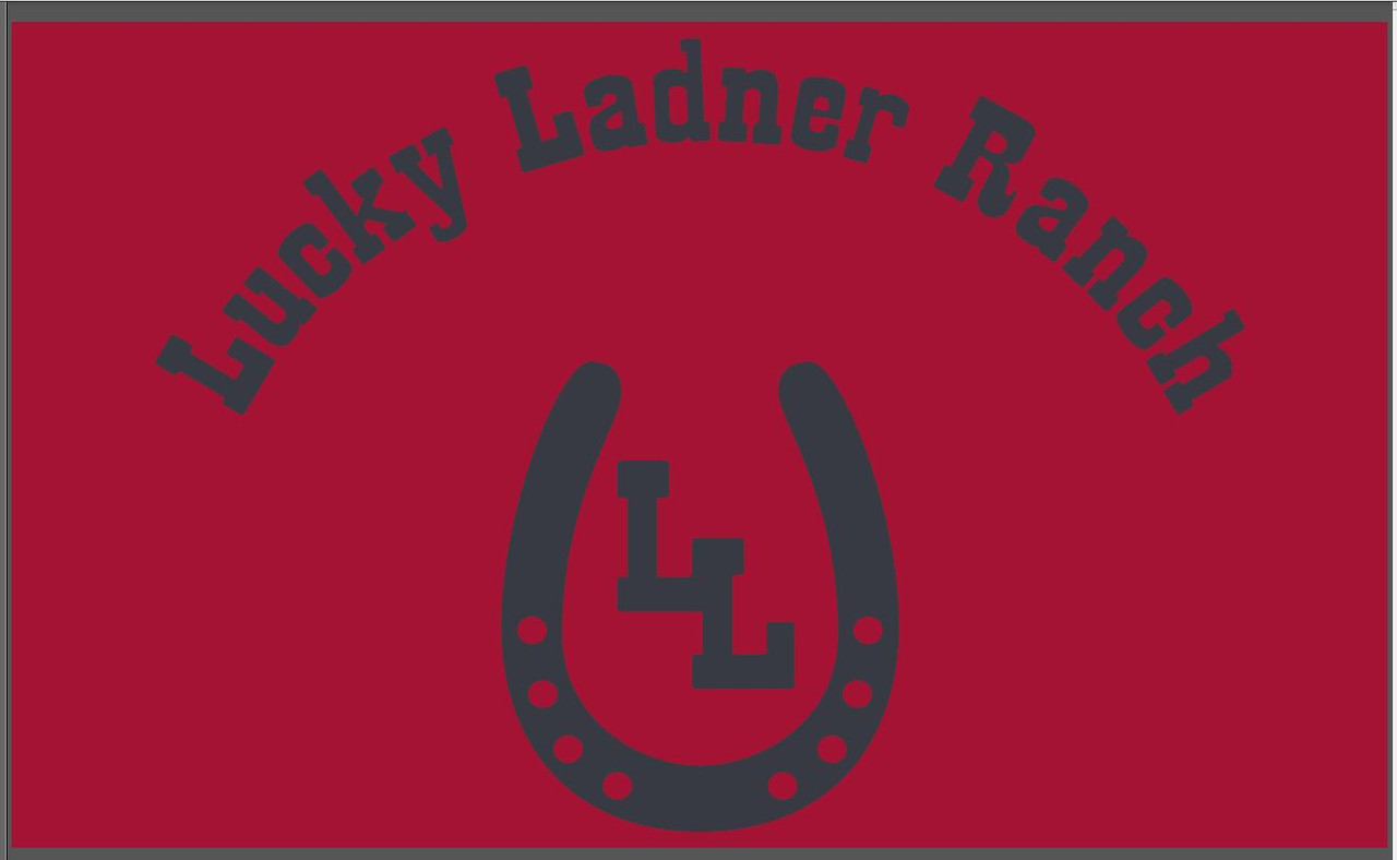 Custom Digital Single Reverse 3' x 5' Evertex Super Knit Poly Flag with Header & Grommets "Lucky Ladner"