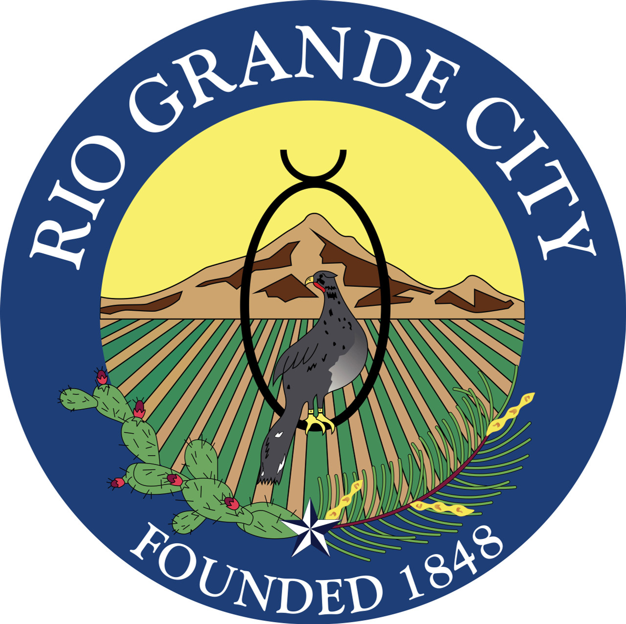 Custom Applique Single Reverse 12' x 18' Poly Flag w/Roped header and Thimbles "City of Rio Grande" Logo Flag, Printed Seal Sewn Onto a Poly Flag with Reinforced Corners