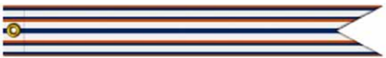 US Coast Guard Battle Streamer Department of Transportation - Secretary’s Outstanding Unit Award