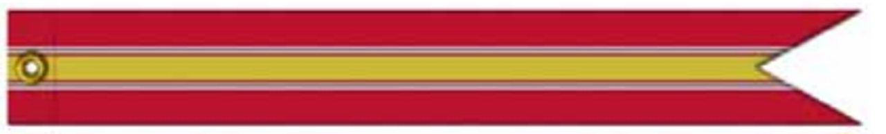 US Coast Guard Battle Streamer National Defense Service