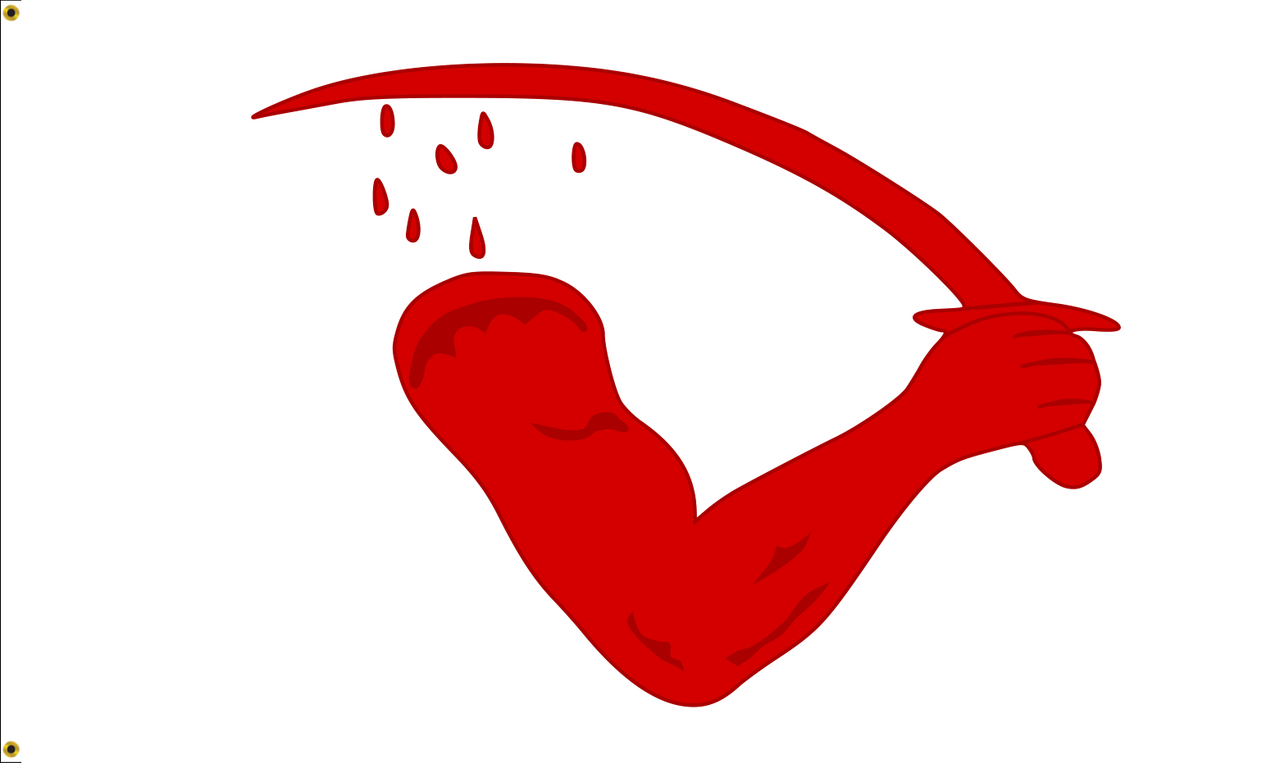 Goliad "Bloody Arm" Flag, Size 3' X 5' Nylon Applique with Header and Grommets