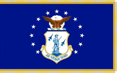 Air Force National Guard Flag, Indoor Nylon 3' x 4' with Pole Hem and Gold Fringe