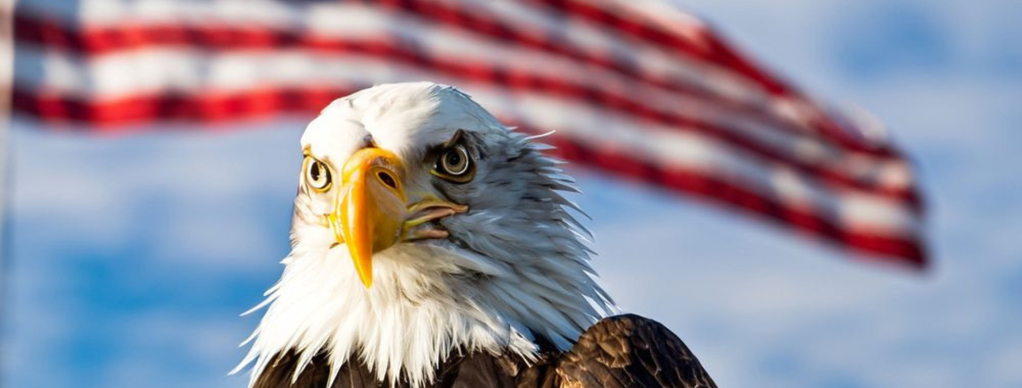 Celebrating 250 Years: Symbols of a Nation Beyond the Flag