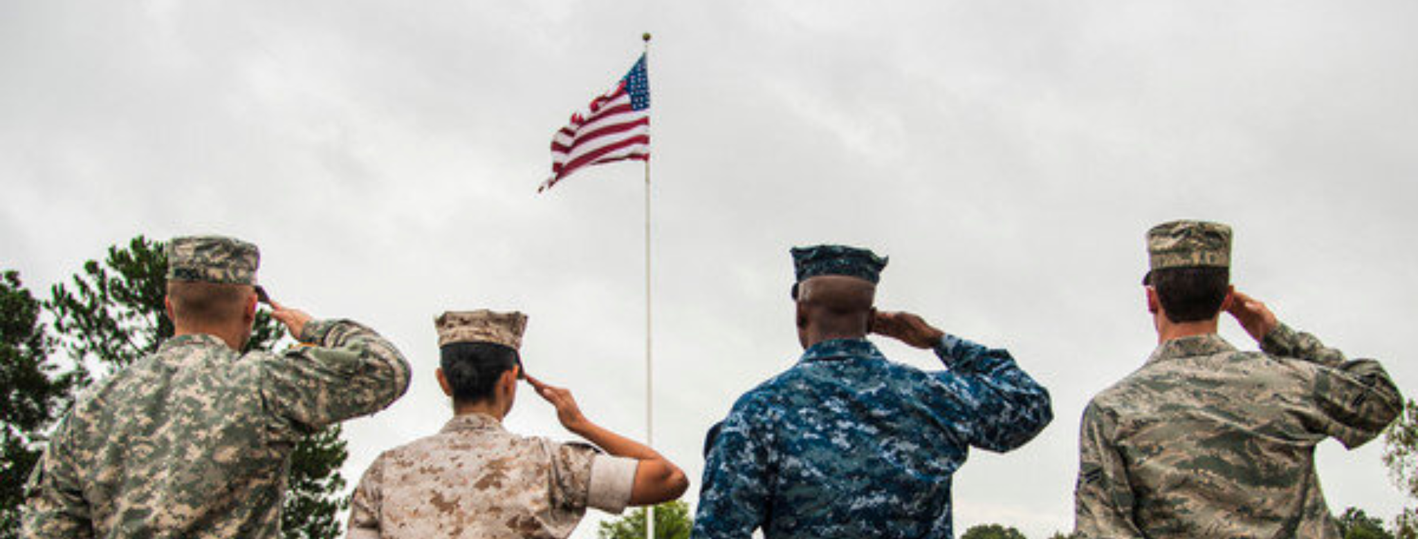 Understanding the Difference Between Veterans Day and Memorial Day 