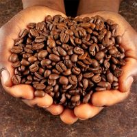 roasted-aribica-beans-sm.jpg