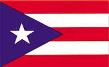 Annin Puerto Rico 3x5 ft Poly/Cotton Flag 146910R