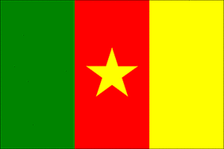 2X3 FT NYL-GLO CAMEROON CAMEROONIAN FLAG - 191263