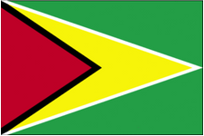 4X6 FT NYL-GLO GUYANA GUYANESE FLAG - 193308