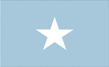 5X8' NYL-GLO SOMALIA SOMALI SOMALIAN FLAG
