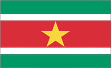 5X8' NYL-GLO SURINAME SURINAMESE FLAG