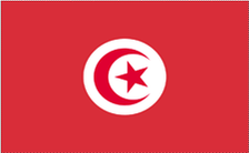 4X6' NYL-GLO TUNISIA TUNISIAN FLAG 4X6' NYL-GLO TUNISIA TUNISIAN FLAG