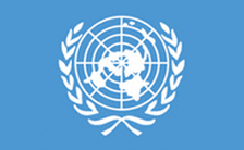 2X3' NYL-GLO UNITED NATIONS UN FLAG