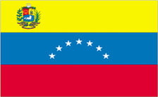 2X3' NYL-GLO VENEZUELA GOVERNMENT 2006 VENEZUELAN FLAG