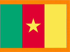 3X5' COL NYL-GLO CAMEROON CAMEROONIAN W/FRINGE FLAG