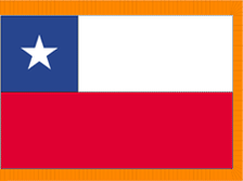 3X5' COL NYL-GLO CHILE CHILEAN W/FRINGE FLAG