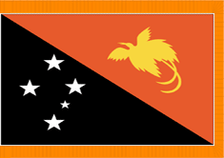 4X6' COL NYL-GLO PAPUA NEW GUINEA GUINEAN W/FRINGE FLAG