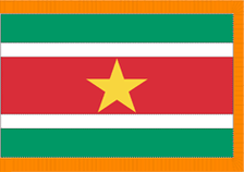 4X6' COL NYL-GLO SURINAME SURINAMESE W/FRINGE FLAG