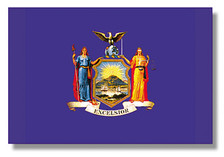 NEW YORK NY State Flag US State Flags 2x3 ft Polyester TT37