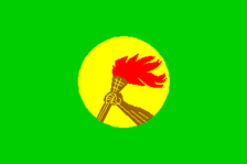 Zaire International Flag 3x5 ft Polyester P237