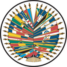 4X6' NYL-GLO 35 OAS MEMBER NATION SET