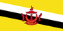 4X6 FT NYL-GLO BRUNEI BRUNEIAN FLAG - 221306