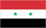 2X3' NYL-GLO SYRIA SYRIAN FLAG
