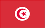 5X8' NYL-GLO TUNISIA TUNISIAN FLAG