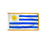 3X5' COL NYL-GLO URUGUAY URUGUYAN W/FRINGE FLAG