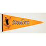 13X32 IN FELT PENNANT STEELERS - 1336