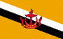 3x5 Ft Polyester Brunei International Bruneian Flag P31