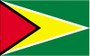 3x5 Ft Polyester Guyana International Guyanese Flag P89