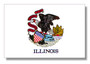 ILLINOIS IL State Flag US State Flags 2x3 ft Polyester TT17