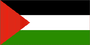 3x5 Ft Polyester  Palestine International Palestinian Flag P160