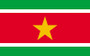 3x5 Ft Polyester Suriname International Surinamese Flag P201