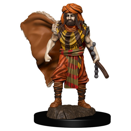 RPG Miniatures: Adventurers - Human Druid Male - Premium Figure