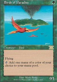 Birds of Paradise - Classic Sixth Edition