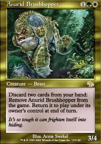 Anurid Brushhopper - Judgment
