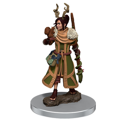 RPG Miniatures: Icons of the Realms - Female Human Druid Premium Figure