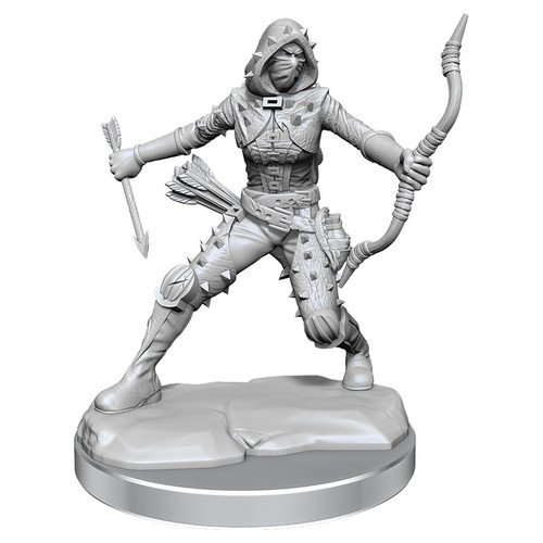 RPG Miniatures: Adventurers - D&D Frameworks: Human Rogue Female