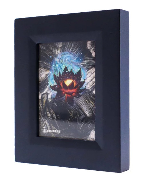 Frameamajigs Frame - Black