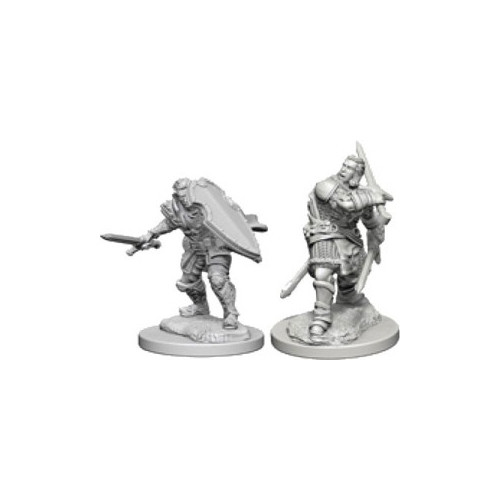 RPG Miniatures: Adventurers - Nolzur's Marvelous Unpainted Minis: Human Male Paladin