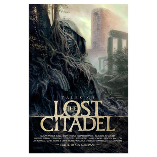 Miscellanous RPGs: Lost Citadel RPG: Tales of the Lost Citadel (Softcover)