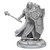 RPG Miniatures: Monsters and Enemies - D&D Frameworks: Human Cleric Male