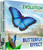 Board Games: Expansions and Upgrades - Evolution: Butterfly Effect Expansion