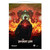 Other MTG Products: MtG: Brother's War Wall Scroll