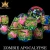 Dice and Gaming Accessories Polyhedral RPG Sets: Yellow and Green - Zombie Apocalypse (11)