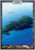 Island - Full Art - Unhinged