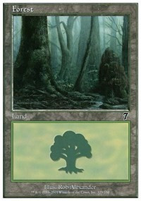 Forest (329) [Foil] - 7th Edition